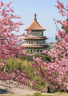 the pagoda is surrounded by cherry blossoms in front of trees with pink flowers on them