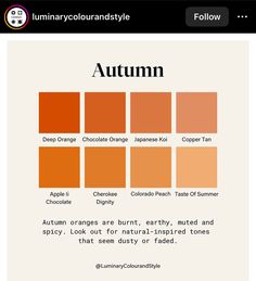 an orange color scheme with the words autumn in different font styles and colors on it