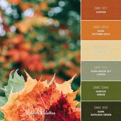 an autumn color scheme with orange, yellow and green leaves