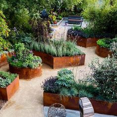 a garden filled with lots of different types of flowers and plants in large metal planters