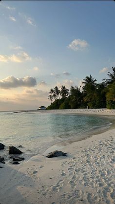 the beach is covered in white sand and palm trees