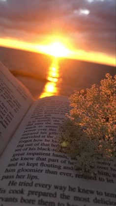 an open book sitting on top of a table next to a plant and the sun