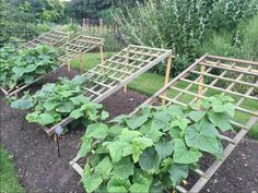 the garden is full of green plants and some wooden trelliss on the ground