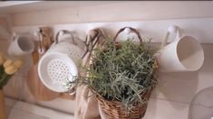 a potted plant sitting on top of a kitchen counter next to pots and pans