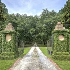 an iron gate in the middle of a gravel road surrounded by lush green trees and bushes