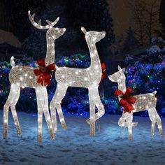 three lighted reindeers in the snow with red bows on their heads and antlers