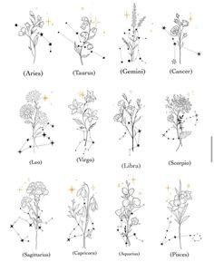 zodiac signs with flowers and stars on them, all in black and white inks