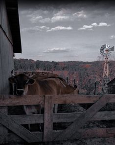 there is a cow that is standing in the fenced area next to a windmill