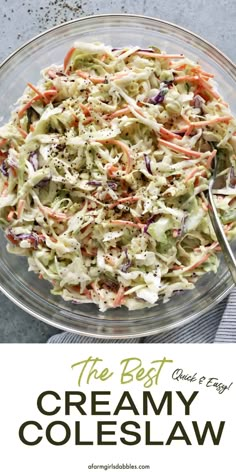 the best creamy coleslaw recipe ever