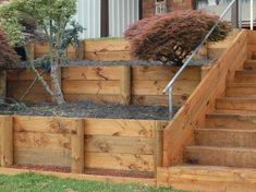 wooden steps leading up to a small tree