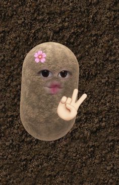 a rock with a pink flower on it's head and two fingers sticking out