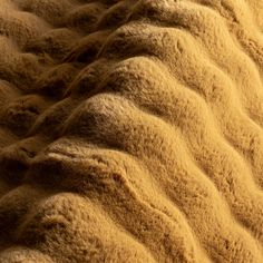 an elephant's fur is shown in this close up photo