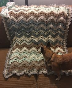 a brown dog standing on top of a couch next to a crocheted blanket