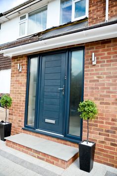 a blue front door with two planters on the steps and one potted tree