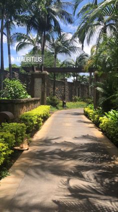 the entrance to mauritus is surrounded by palm trees and greenery on either side