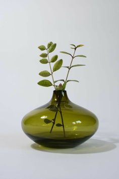 a green vase with a plant in it