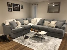 a living room filled with furniture and a cat on the floor