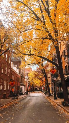 an empty street lined with tall buildings and lots of yellow leaves on the tree's branches