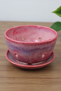 a small pink bowl sitting on top of a wooden table next to a green plant