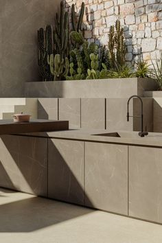 a kitchen sink sitting under a window next to a planter filled with cacti