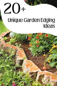 Rustic terracotta-styled garden edging with lush plants, part of 20+ unique garden edging ideas. Creative Garden Edging Ideas, Unique Garden Edging Ideas, Flower Bed Edging Ideas, Garden Bed Edging Ideas, Stone Edging, Garden Edging Ideas, Cement Garden