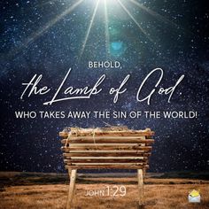 Christmas Wishes Bible Quotes, Merry Christmas Images Jesus, Bible Verses On Christmas, Christmas Eve Christian Quotes, Merry Christmas Nativity Images, Dec 1 Christmas Quotes, Christmas Facebook Cover Christian, Christ In Christmas Quotes, Nativity Quotes Christmas