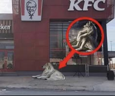 a dog laying on the ground in front of a kfc building with a magnifying glass over it