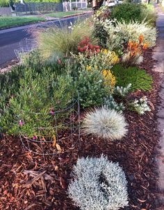 some plants are growing in the mulch on the side of the road and around the fence