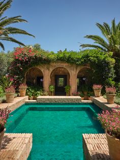 an outdoor swimming pool surrounded by palm trees and potted plants with pink flowers on either side