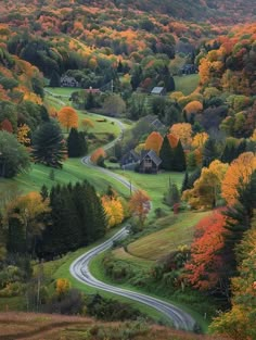 a winding country road surrounded by trees with autumn foliage on both sides and houses in the distance