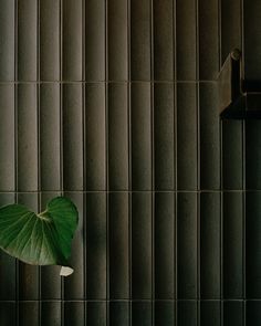 a green leaf hanging from the side of a wall next to a light fixture on a tiled wall