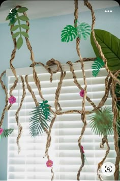 a window with some plants hanging from it