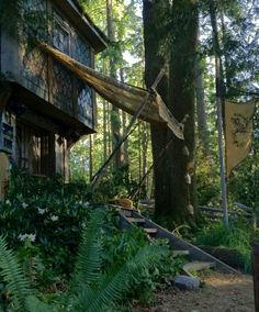 a house in the woods with a hammock hanging from it's roof