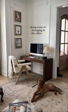 a dog laying on the floor in front of a desk