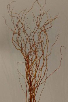 a vase filled with branches on top of a wooden table next to a white wall