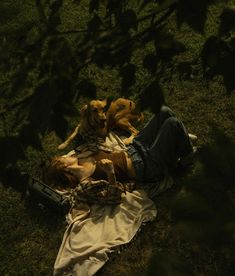 a person laying on the ground with two dogs