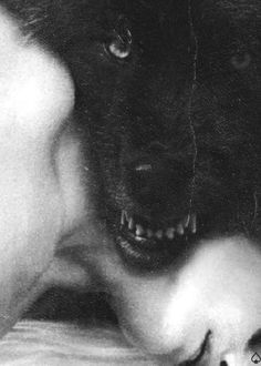 a black and white photo of a dog with its head on a person's shoulder