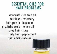 Tea Tree Oil Hair, Oils For Hair, Essential Oils For Hair, Healthy Hair Tips, Itchy Scalp, Healthy Scalp, Oily Hair, Natural Hair Tips