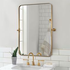 a bathroom sink with a mirror above it and a potted plant on the counter