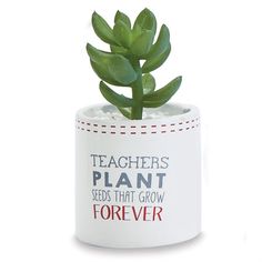 a small potted plant with the words teachers plant seeds that grow forever on it