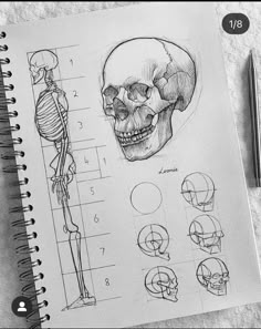 a drawing of a human skull with different facial expressions and body parts drawn on top of it