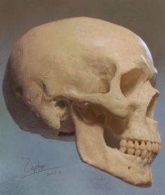 a painting of a human skull with no lower jaw and one lower jaw missing from it