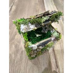 an old box with moss growing out of it