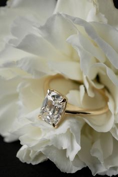 a close up of a flower with a ring on it