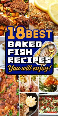 These baked fish recipes are healthy and delicious. Perfect for any meal! Oven Cooked Fish Recipes, Baking Fish Fillets, Best Baked Fish Recipes, Hake Fish Recipes Baked, Bariatric Fish Recipes, Roasted Fish Recipes, Orange Roughy Recipes Baked, Best Baked Fish