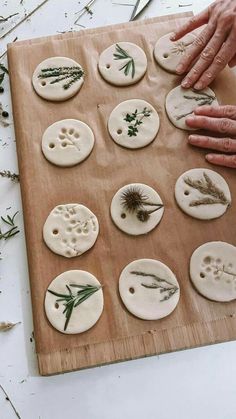 the person is making buttons with herbs on them