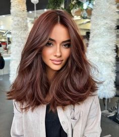 Dark Fall Hair, Chestnut Hair, Chestnut Hair Color, Brown Hair Looks, Brown Hair Inspo, Red Brown Hair, Hair Color And Cut