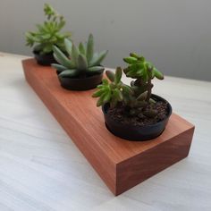 three small succulents are sitting on a wooden shelf