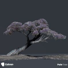 a tree with purple flowers is shown in the middle of a dark gray background and has words written all over it