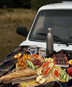 a picnic blanket with food on it next to a car